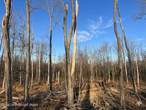 Vacant Land For Sale - 3347 Falstaff Drive<br/> Tobyhanna, PA 18466