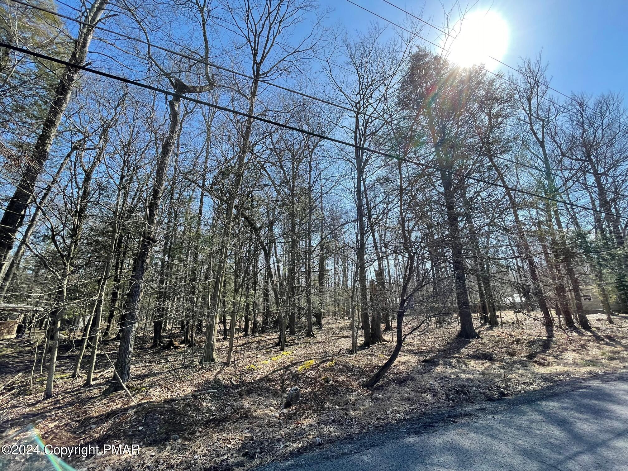 B14HF Tanglewood Drive, Albrightsville, Pennsylvania image 1
