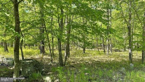 Vacant Land For Sale - 000 Mallard Lane<br/> Bushkill, PA 18324