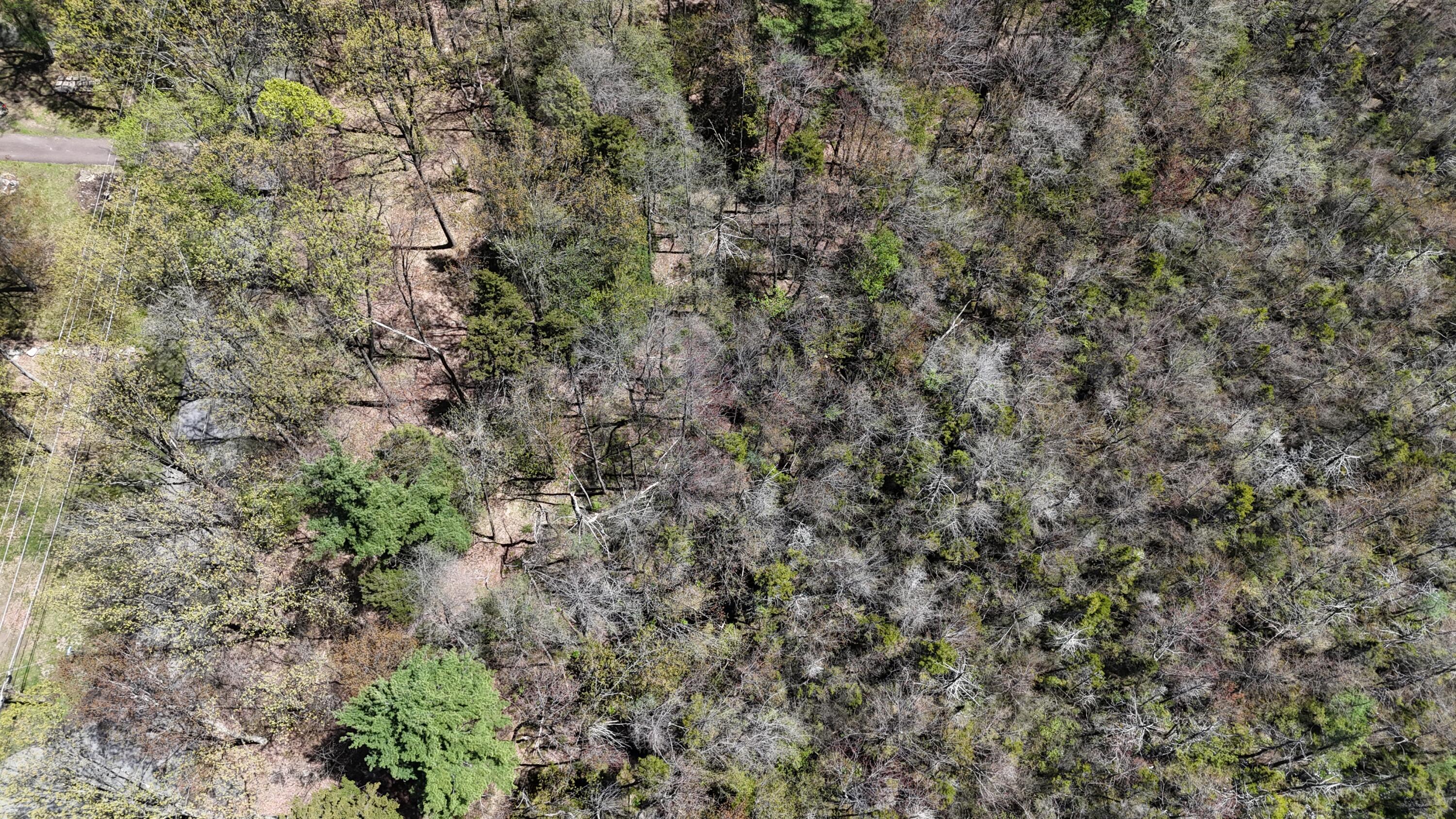 Lot 624/625 Laurel Road, Pocono Summit, Pennsylvania image 4