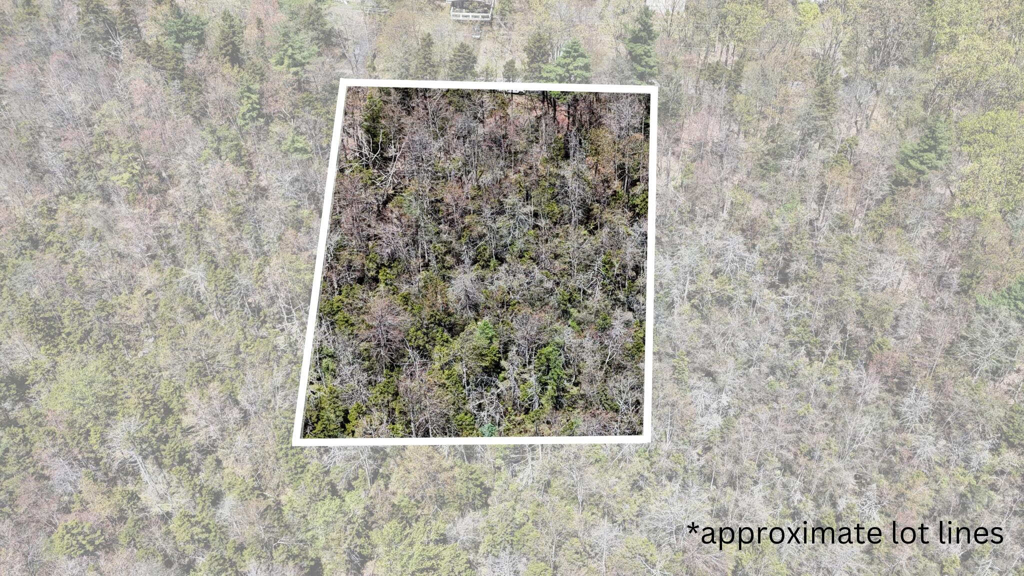 Lot 624/625 Laurel Road, Pocono Summit, Pennsylvania image 2