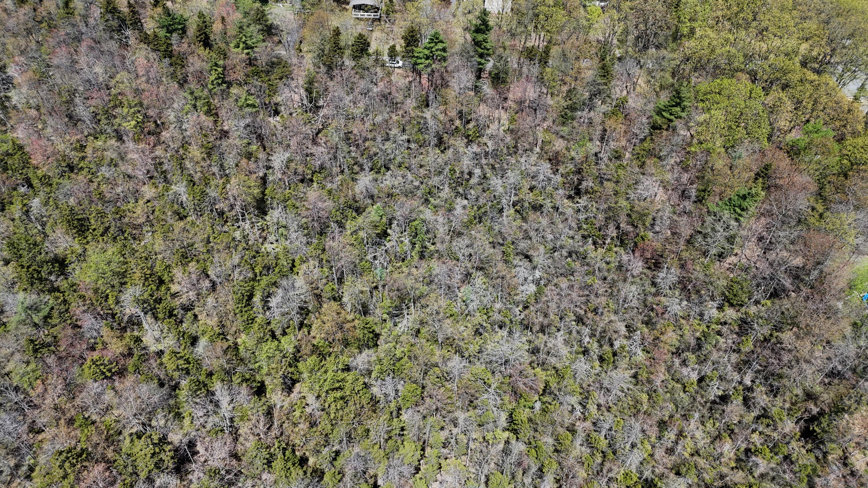 Lot 624/625 Laurel Road, Pocono Summit, Pennsylvania image 3