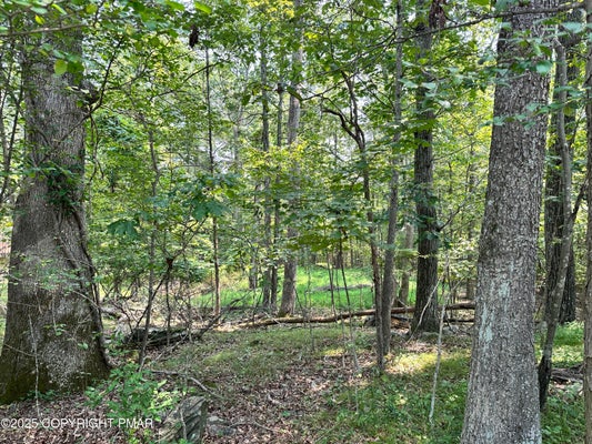 TIMBER HILL RD 2B, HENRYVILLE, PA 18332 - Image 339612c155846df7a5ec4e4ea14cce30/231362398
