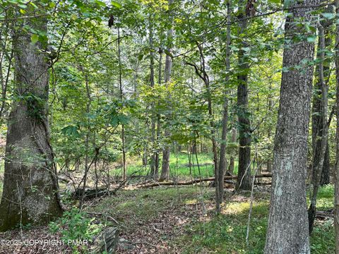 Timber Hill Rd 2B Henryville PA 18332
