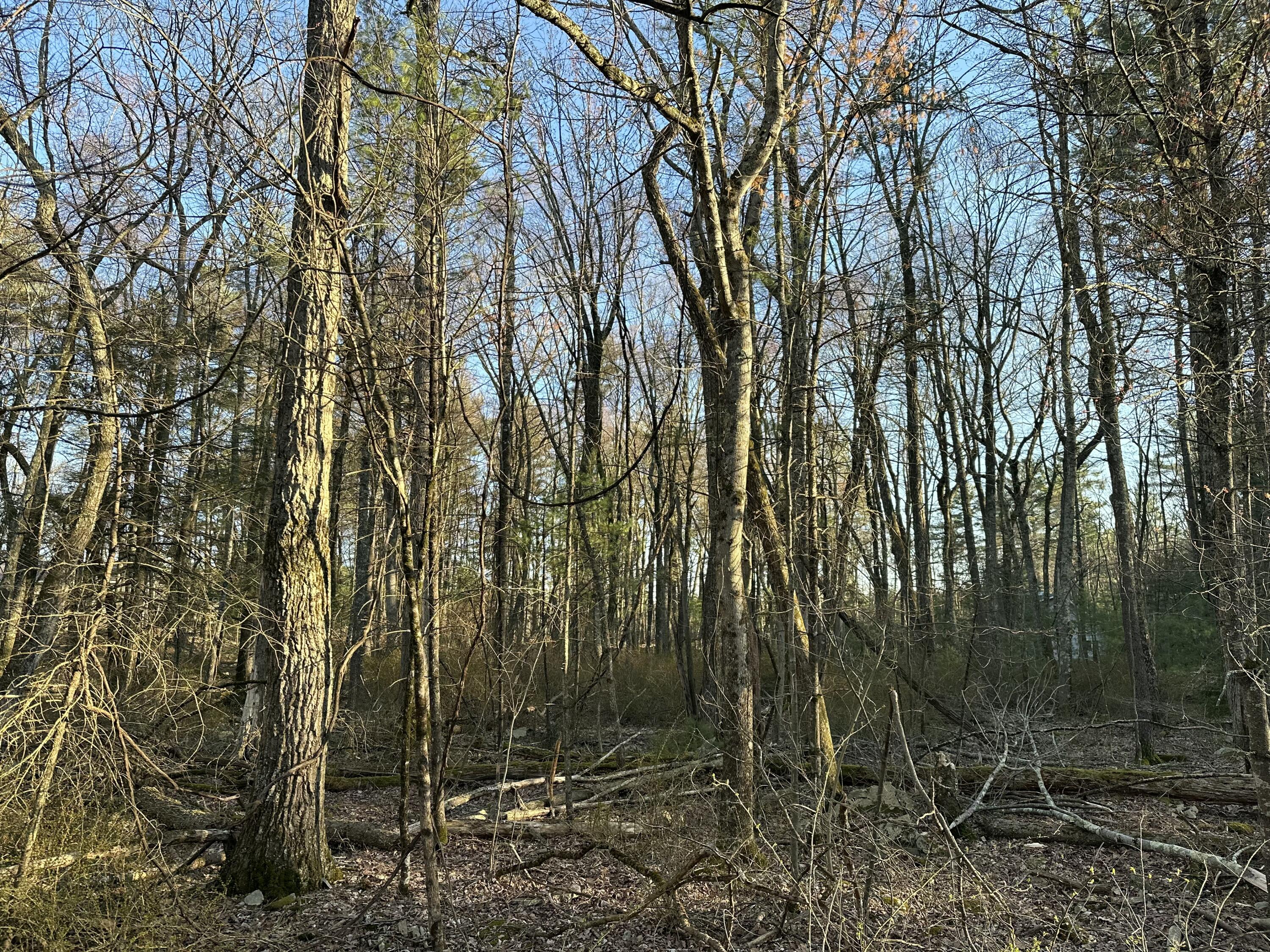 Lot 1537 Sequoia Lane, Milford, Pennsylvania image 5