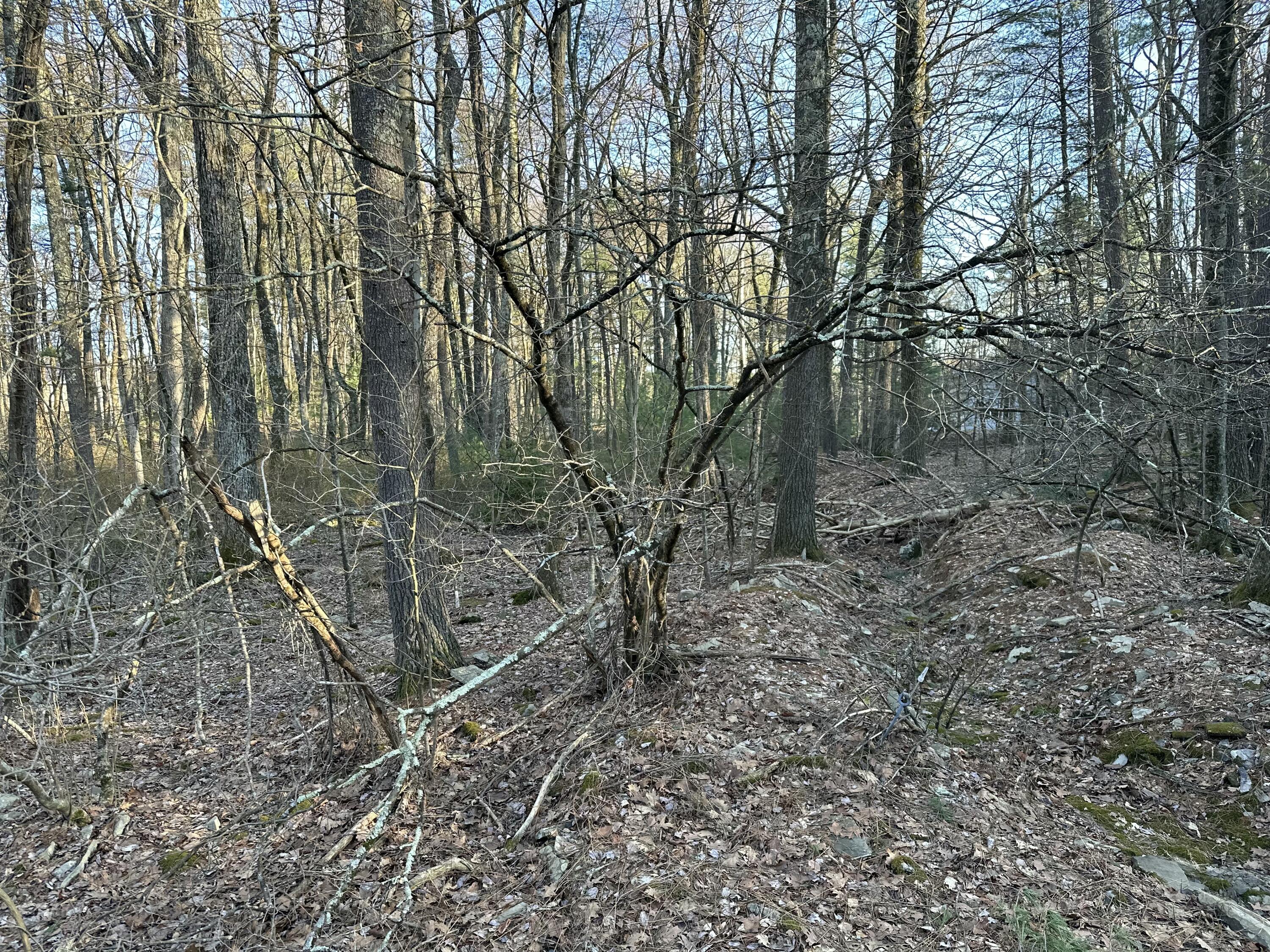 Lot 1537 Sequoia Lane, Milford, Pennsylvania image 2