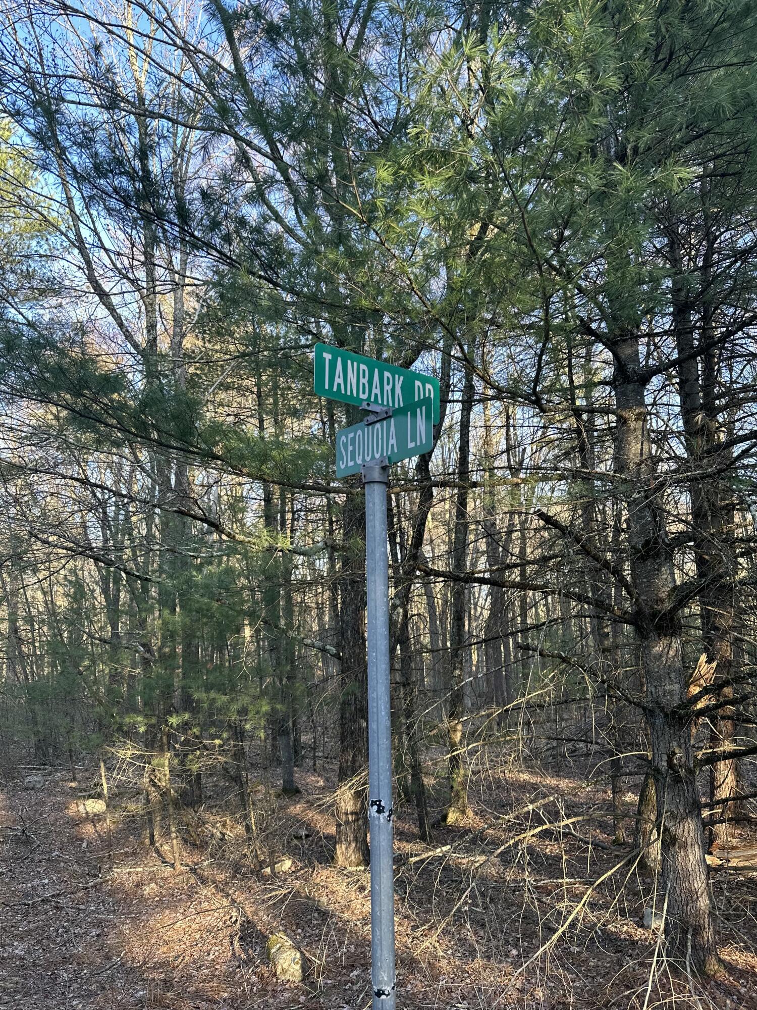Lot 1537 Sequoia Lane, Milford, Pennsylvania image 7