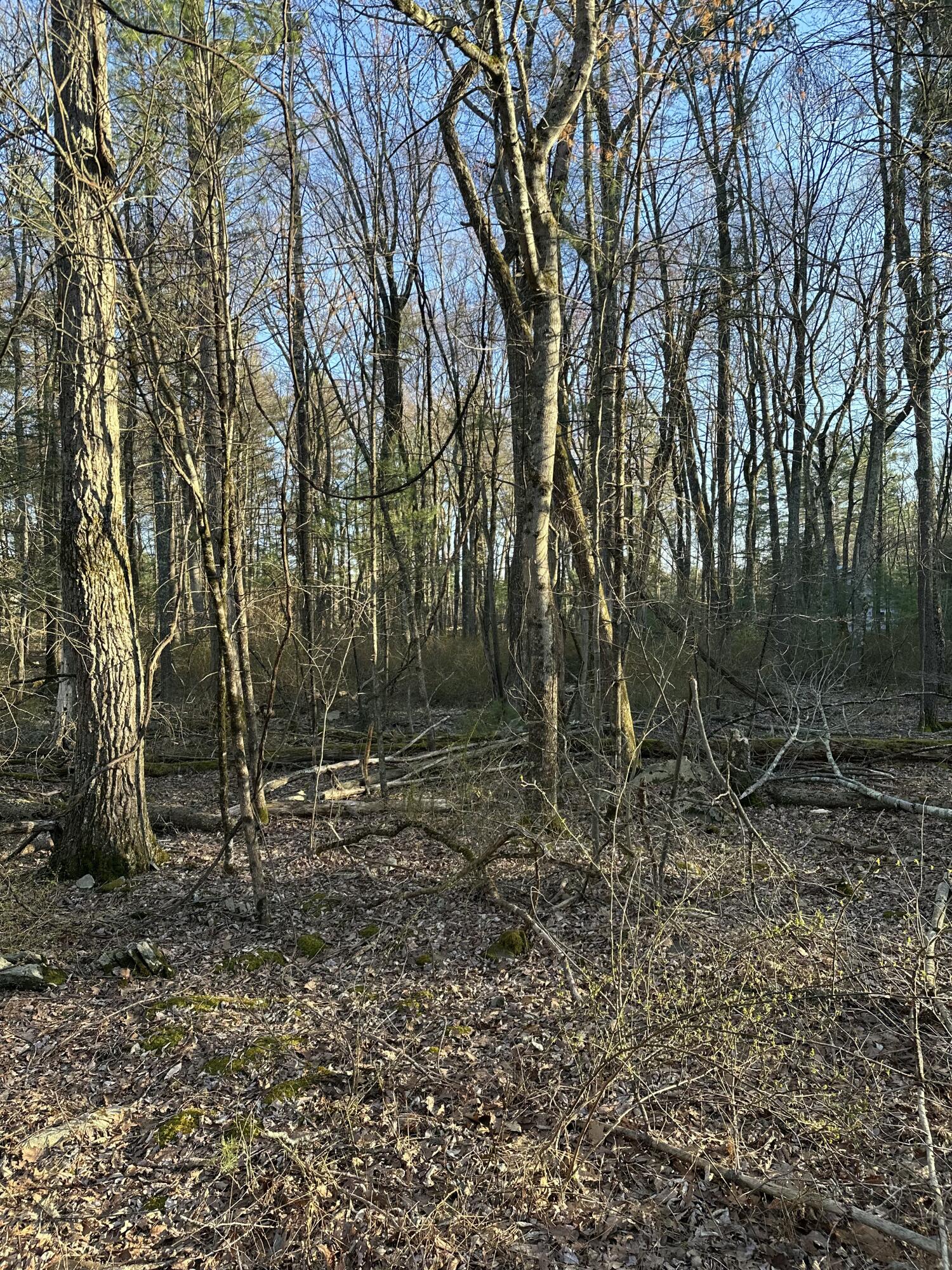 Lot 1537 Sequoia Lane, Milford, Pennsylvania image 6