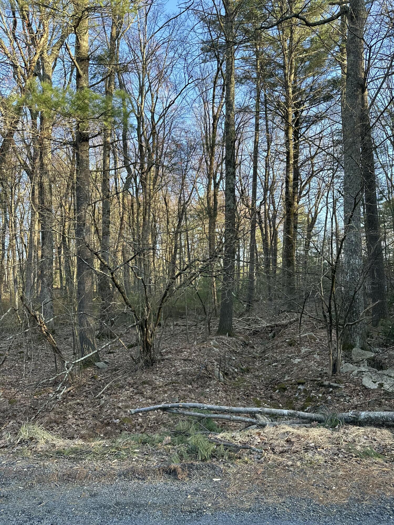 Lot 1537 Sequoia Lane, Milford, Pennsylvania image 4