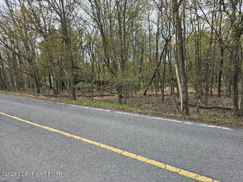 Vacant Land For Sale - 107 Clearbrook Dr 107 Drive<br/> Albrightsville, PA 18210