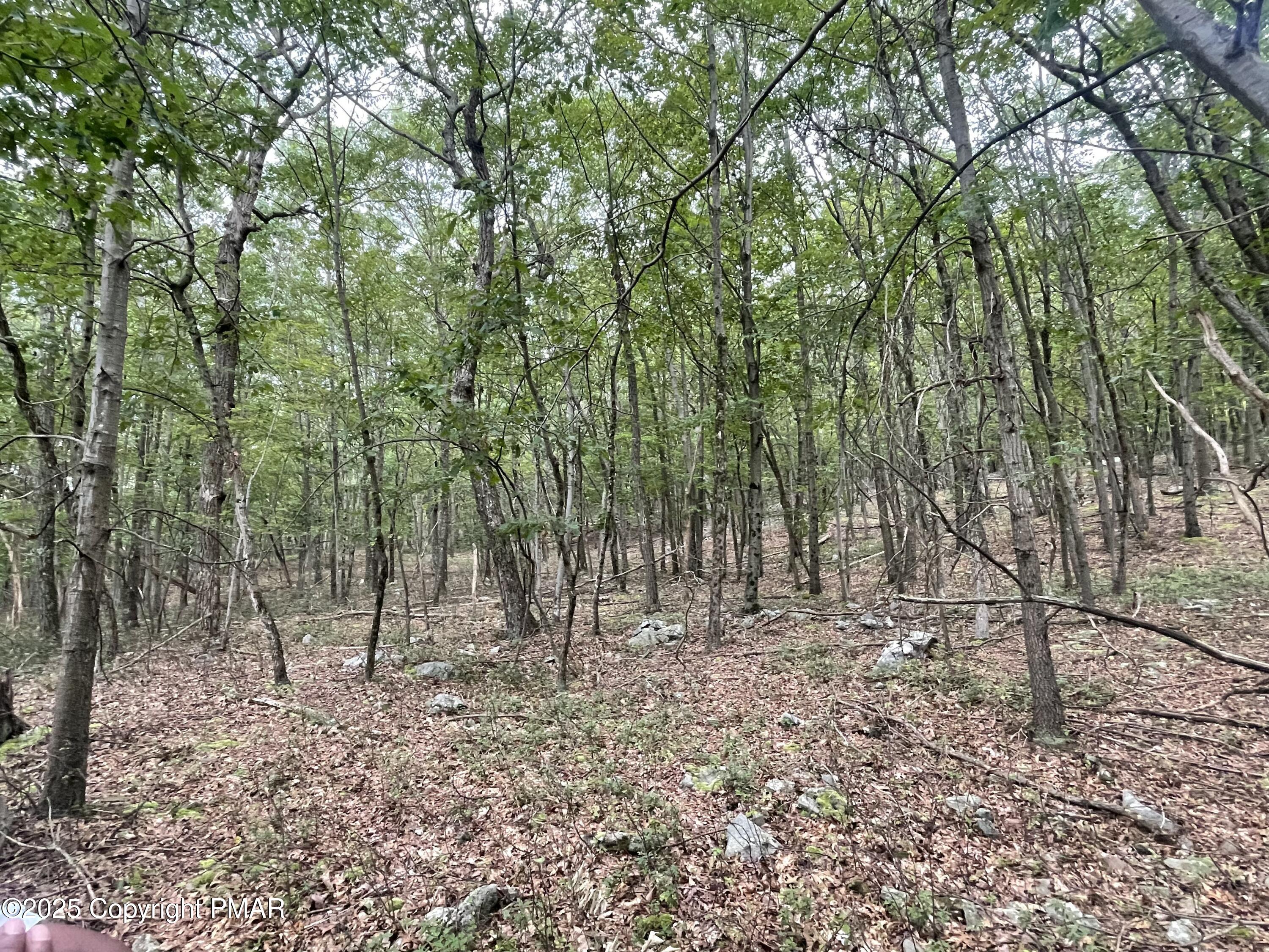 195 Cirdr 2919, Effort, Pennsylvania image 3