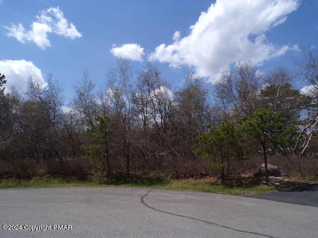 Lot 36 Pearson Court, Albrightsville, Pennsylvania image 3