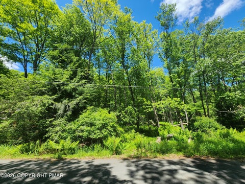 Vacant Land For Sale - Lot J698 Autumn Lane<br/> Jim Thorpe, PA 18229