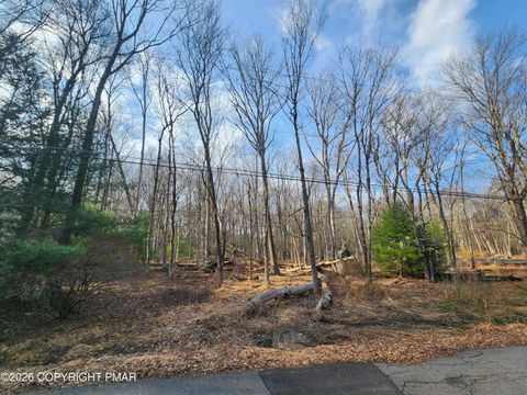Vacant Land For Sale - Lot J698 Autumn Lane<br/> Jim Thorpe, PA 18229