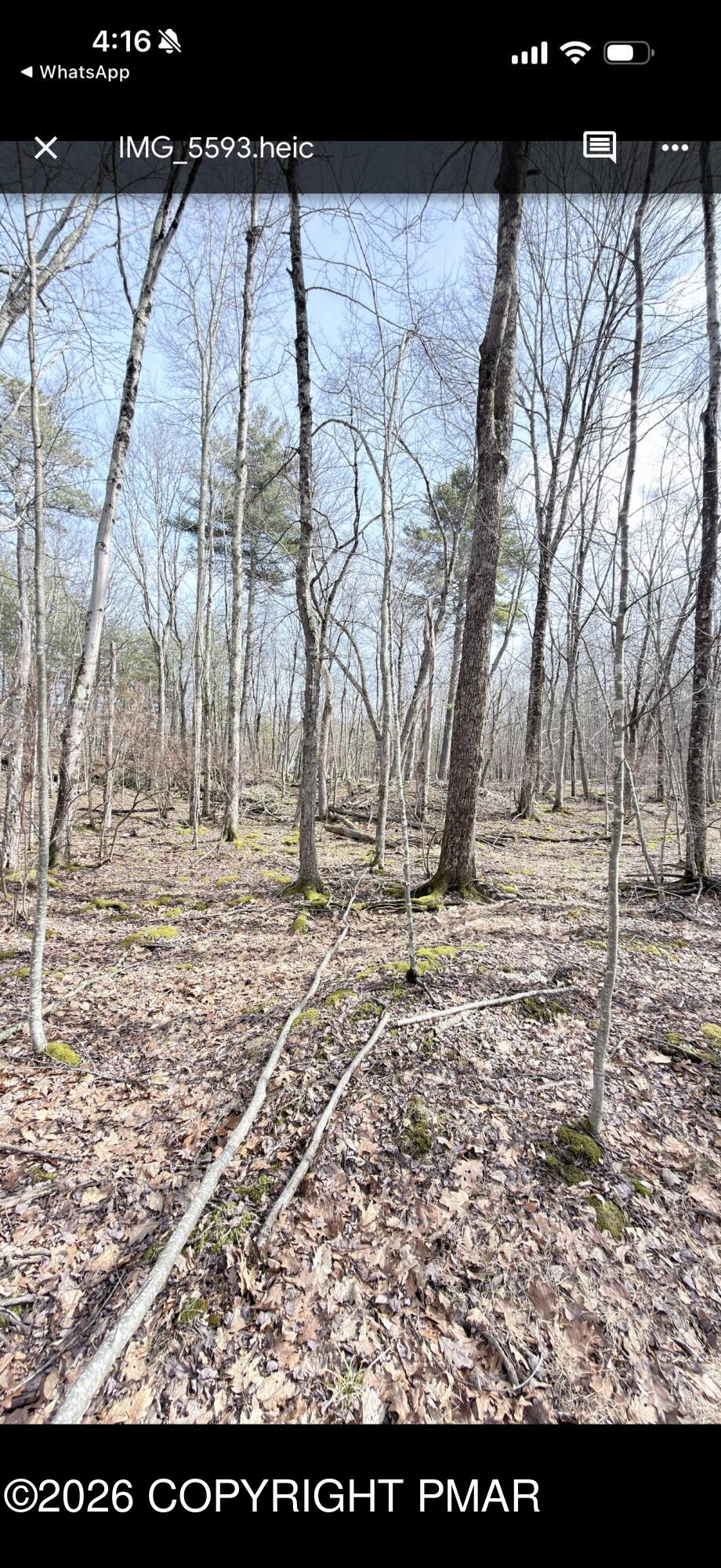 183 Ledge View Drive fawn lake forest