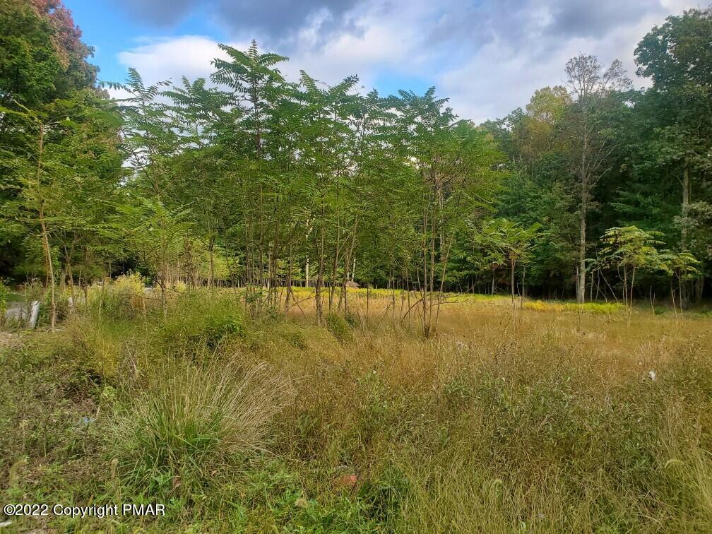 Lot 1 T 628 Ct, Effort, Pennsylvania image 1