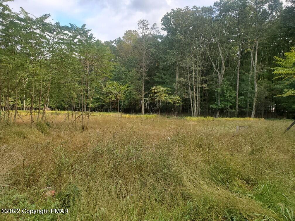 Lot 1 T 628 Ct, Effort, Pennsylvania image 3