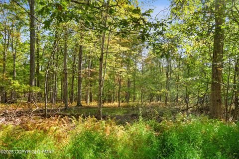 Vacant Land For Sale - Spring Run Ln 17<br/> Cresco, PA 18326