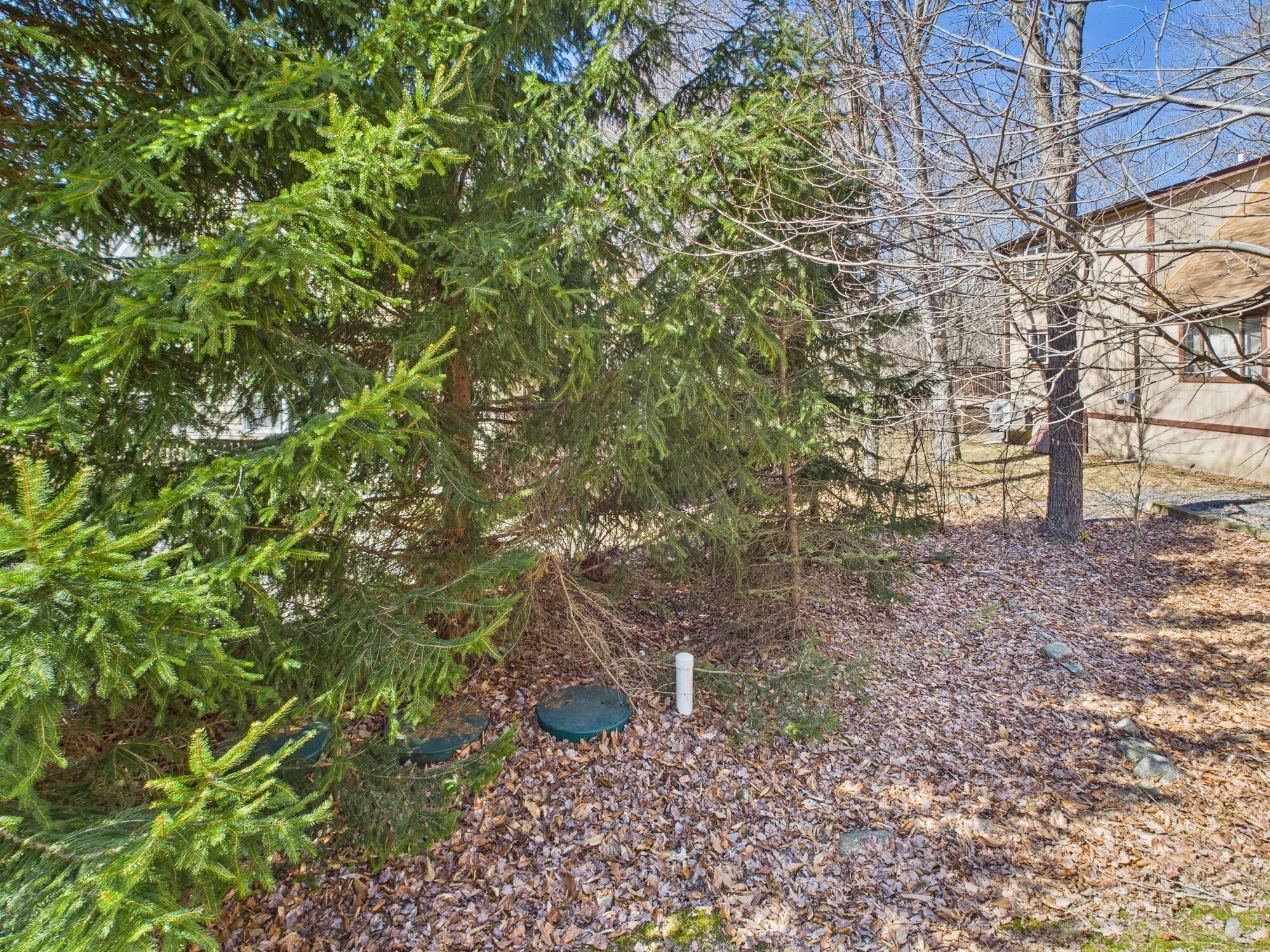 126 Moccasin Trail, Pocono Lake, Pennsylvania image 46