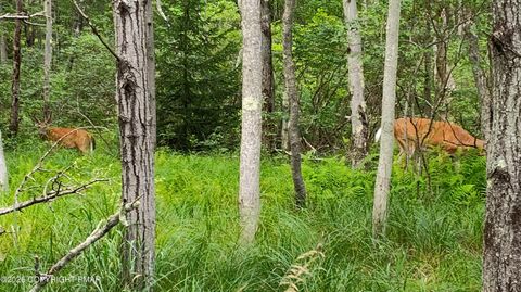 Vacant Land For Sale - 158 Overlook Dr 158 Drive<br/> Monroe County, East Stroudsburg, PA 18301