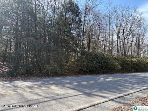 Vacant Land For Sale - Stony Mountain Road<br/> Carbon County, Albrightsville, PA 18210