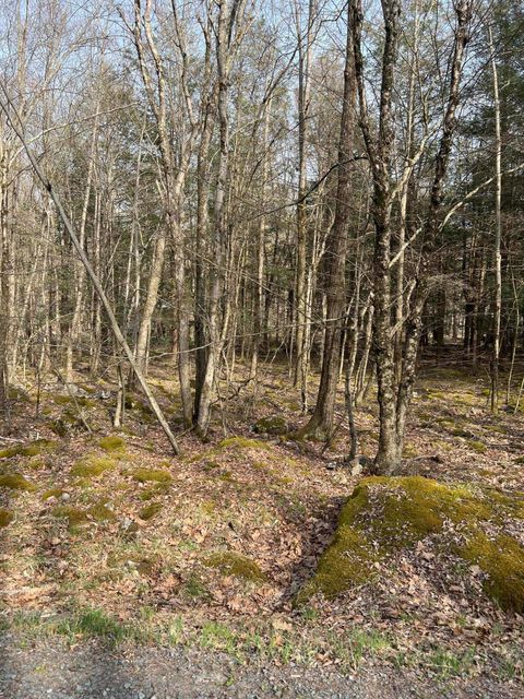 Vacant Land For Sale - LOT 813 White Pine Drive<br/> Monroe County, Pocono Lake, PA 18347