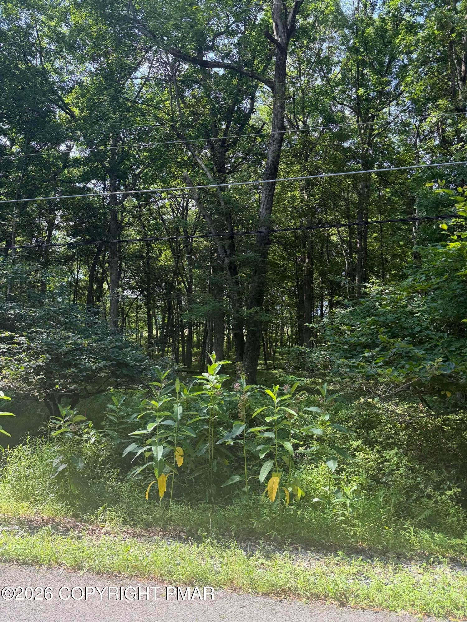 Lot 139LAN Willow Drive