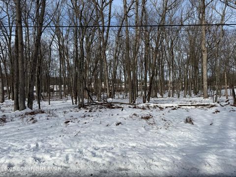 Vacant Land For Sale - LOT 139LAN Willow Drive<br/> Jim Thorpe, PA 18229