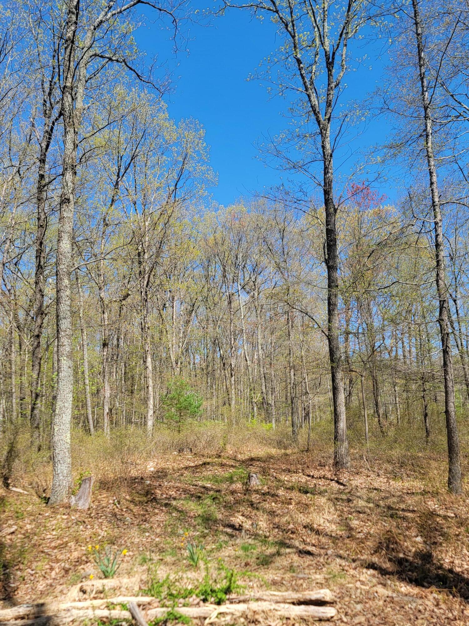 Lot 114 Pohopoco Circle, Lehighton, Pennsylvania image 2