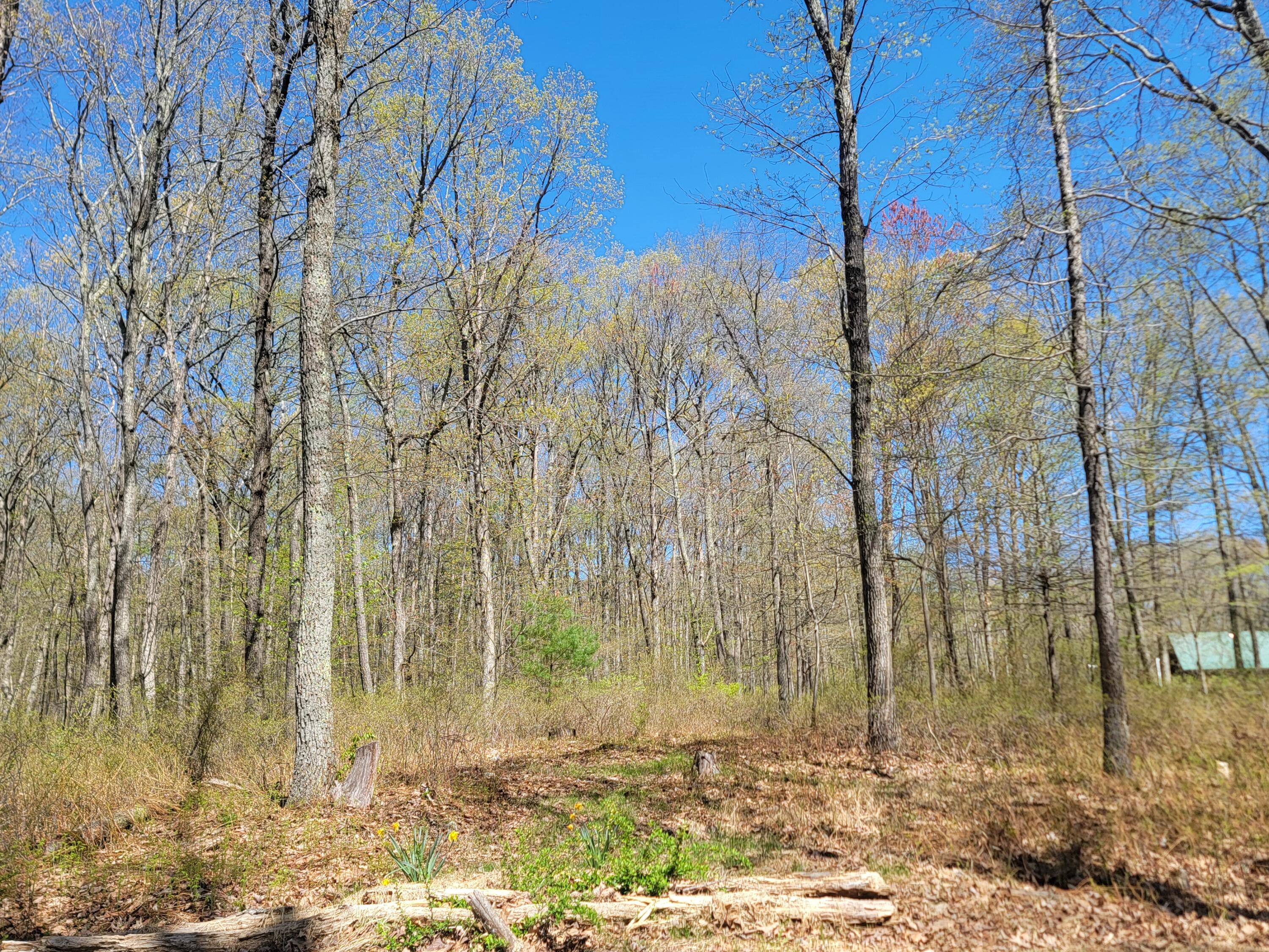 Lot 114 Pohopoco Circle, Lehighton, Pennsylvania image 1
