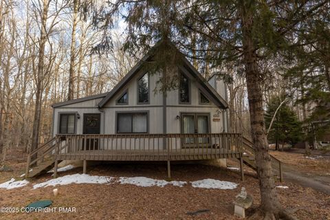 303 Cheyenne Trail Pocono Lake PA 18347
