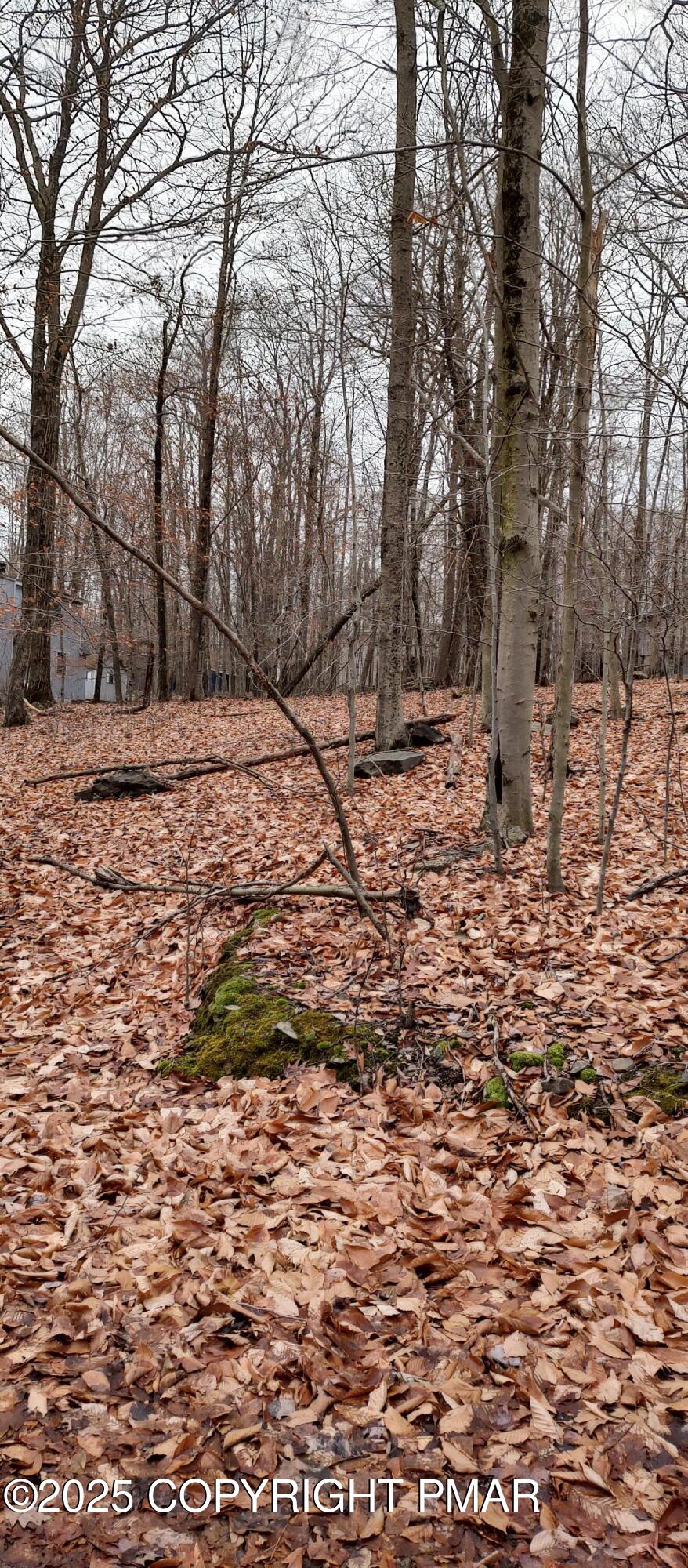 164 Mountain View Dr #1007 Drive