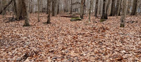 Vacant Land For Sale - 164 Mountain View Dr #1007 Drive<br/> Pocono Lake, PA 18347