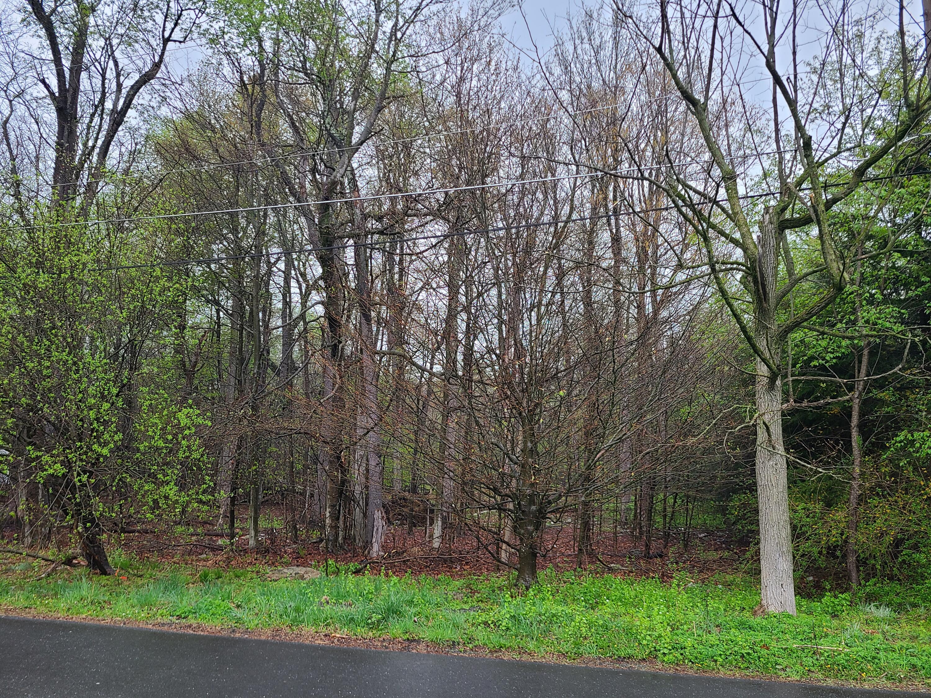 Lot B13 Forest Drive, Tobyhanna, Pennsylvania image 1