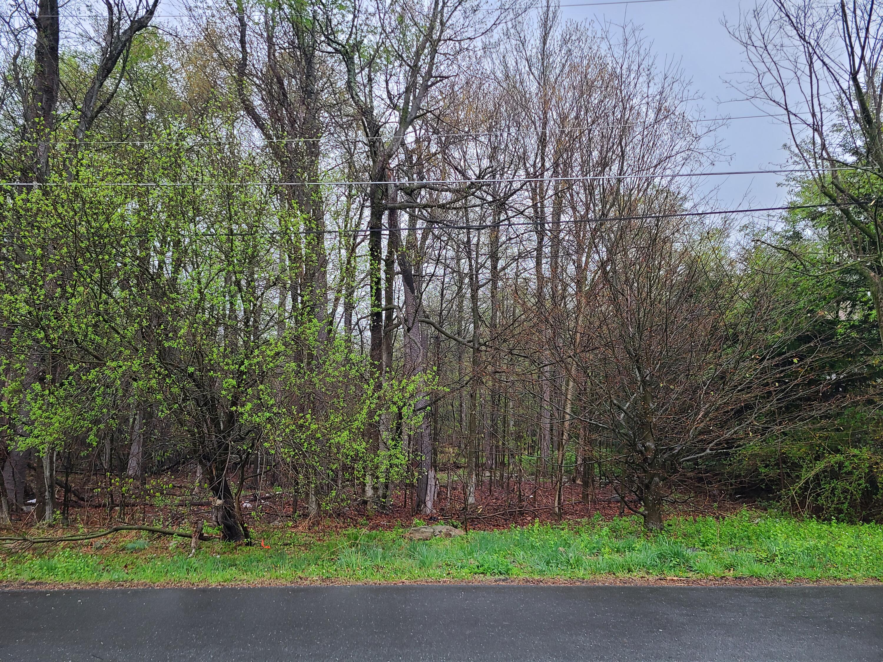 Lot B13 Forest Drive, Tobyhanna, Pennsylvania image 2