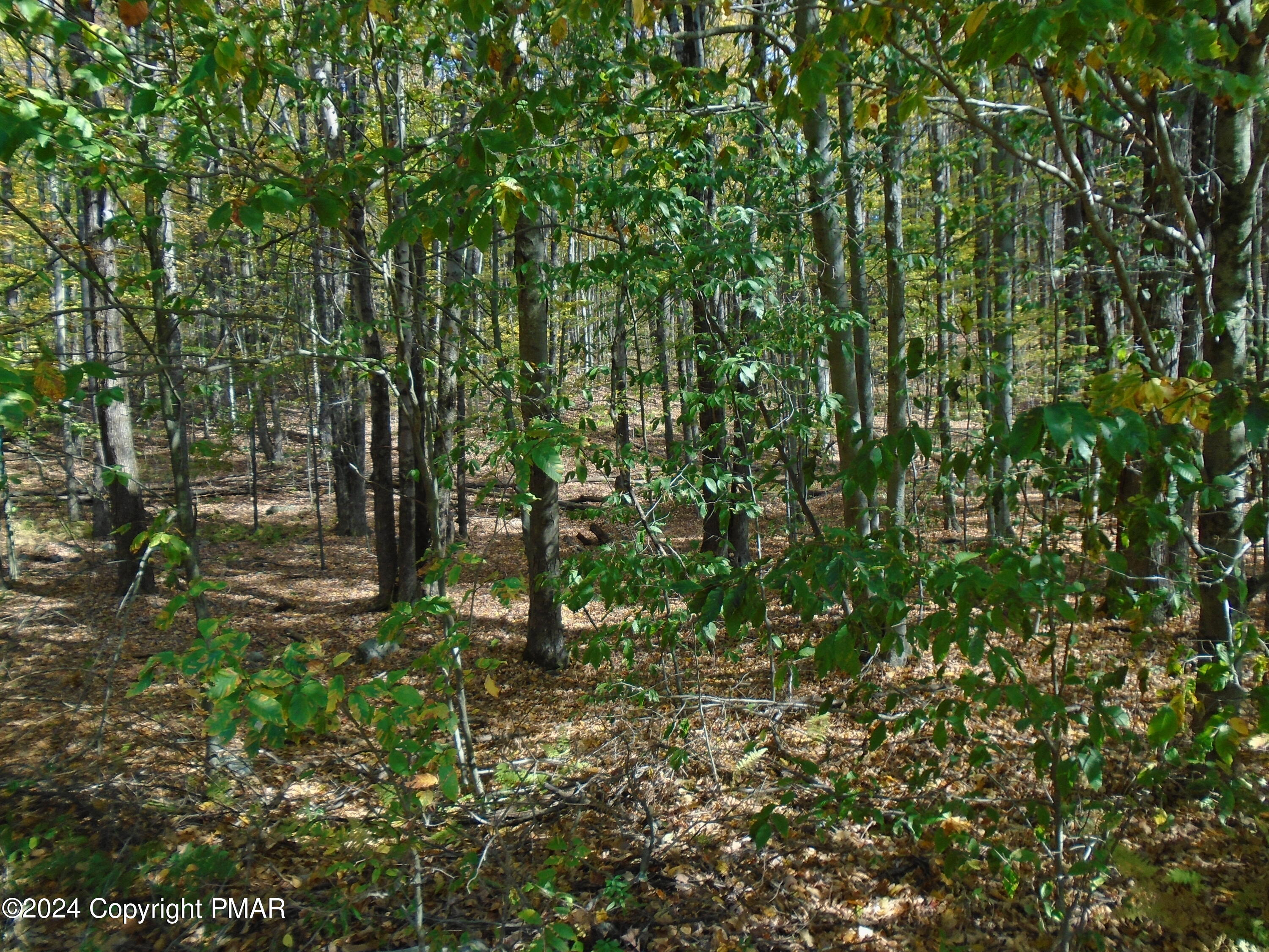 Riverside Lane, Pocono Lake, Pennsylvania image 7