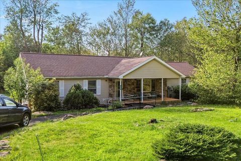 115 Blackfoot Lane Tobyhanna PA 18466