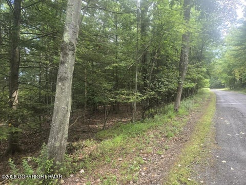 Vacant Land For Sale - Turkey Ridge Dr 18<br/> Kunkletown, PA 18058