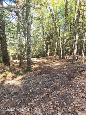 ADDRESS PRIVATE, KUNKLETOWN, PA 18058 - Image 394e3b2daf1dada2fc4f86a47beb3e4d/368252280