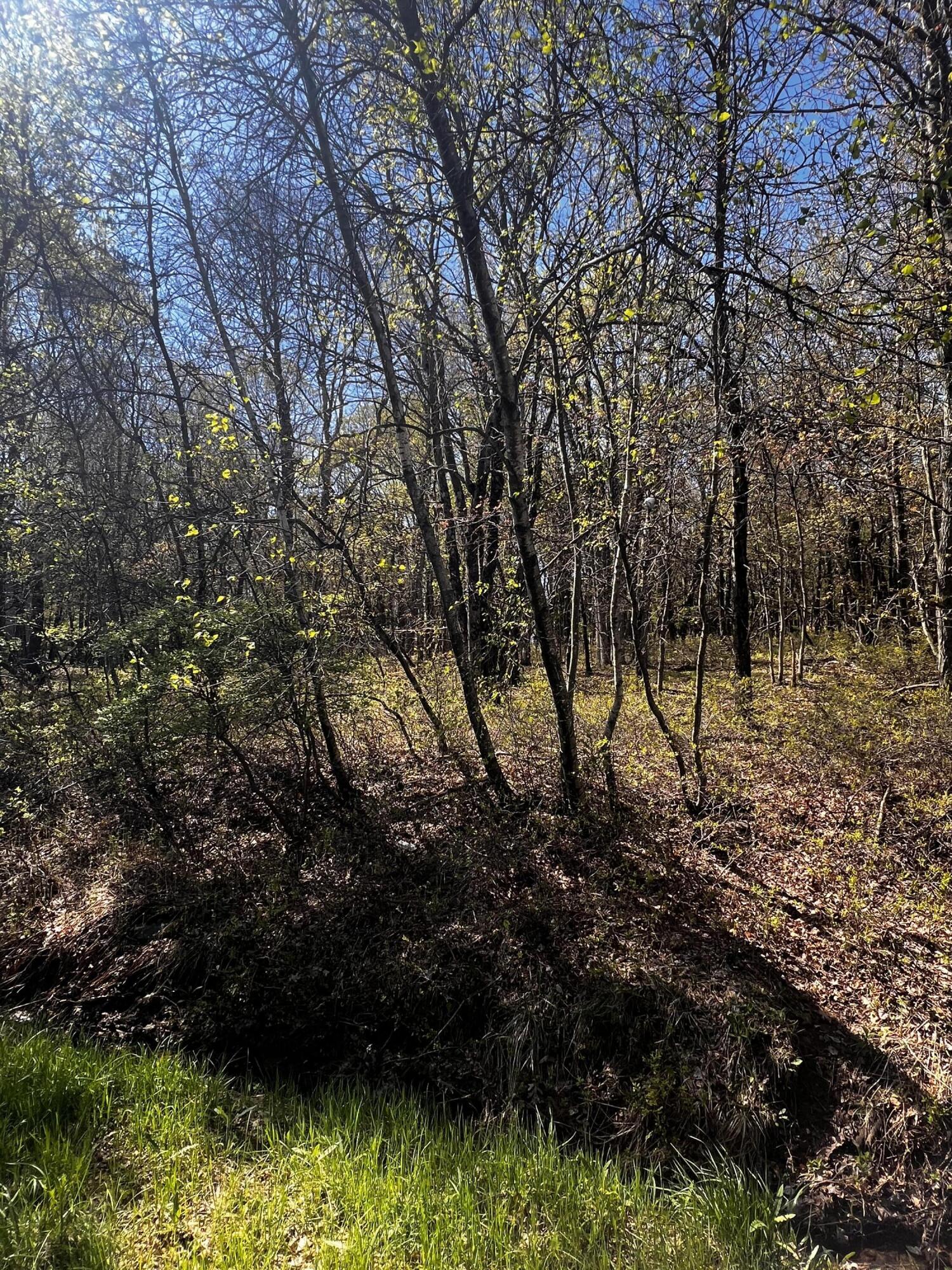 Lot 5915 Wild Laurel Drive, Long Pond, Pennsylvania image 3