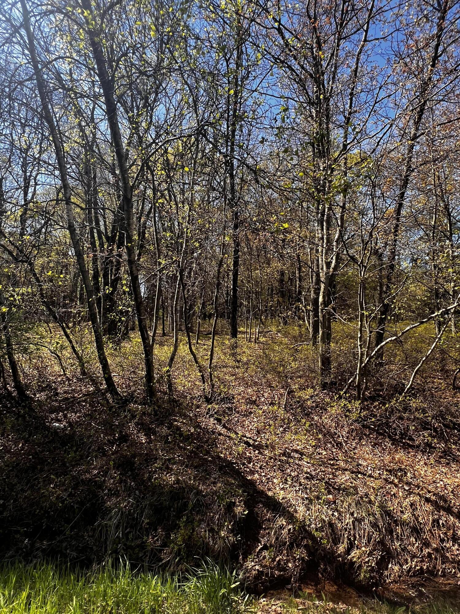 Lot 5915 Wild Laurel Drive, Long Pond, Pennsylvania image 2