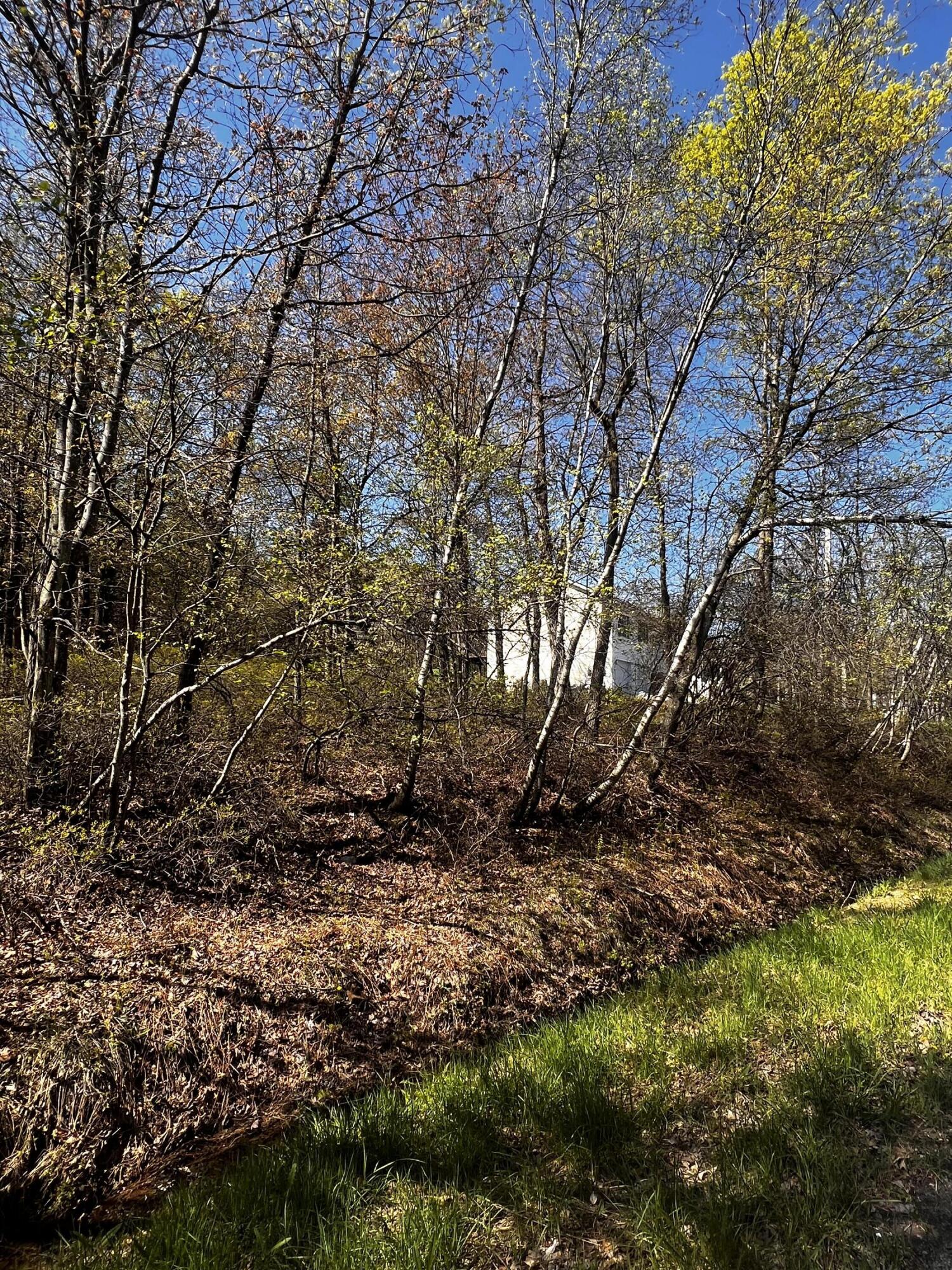 Lot 5915 Wild Laurel Drive, Long Pond, Pennsylvania image 4