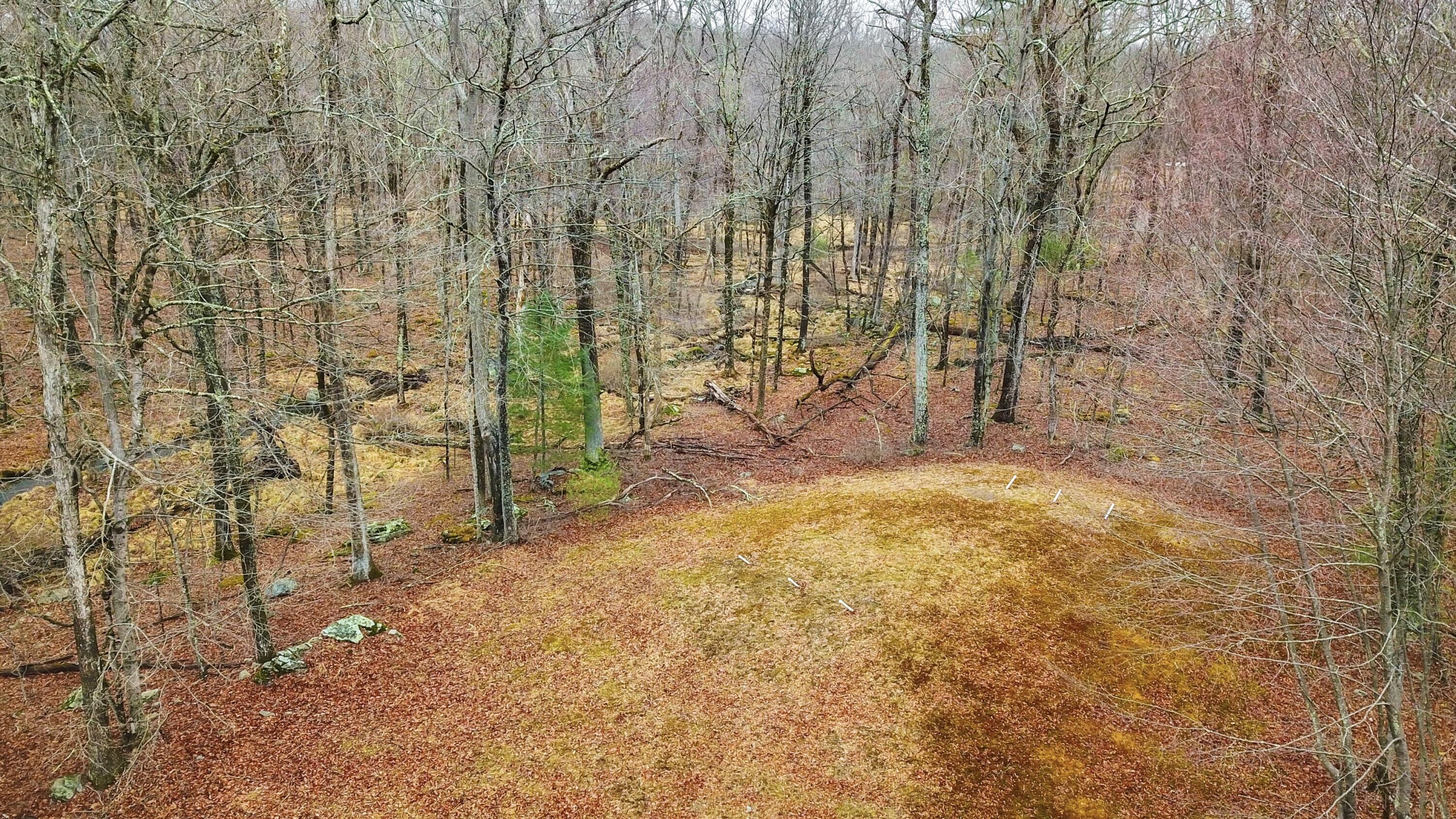 102 Fern Terrace, Milford, Pennsylvania image 35