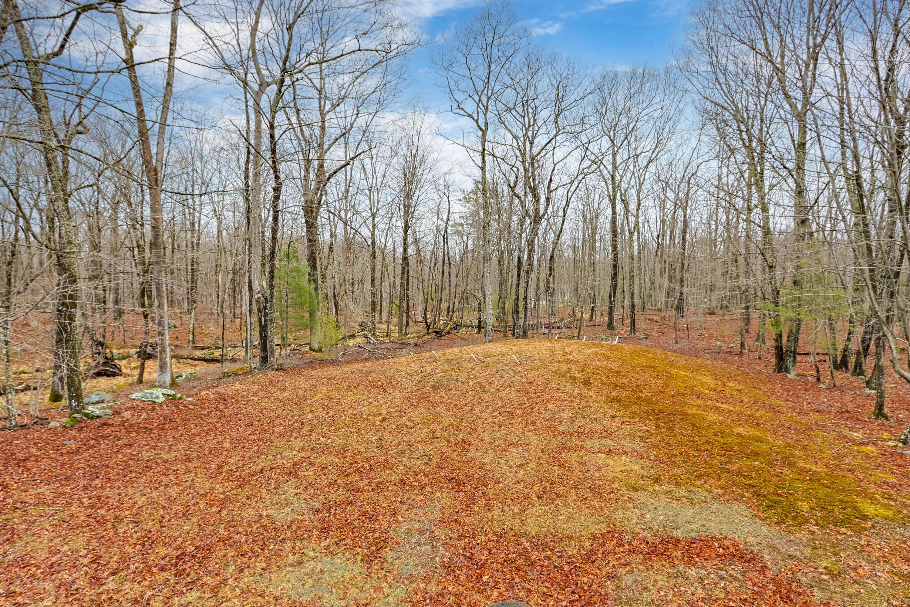 102 Fern Terrace, Milford, Pennsylvania image 6