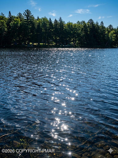 110 Spruce Lake Drive