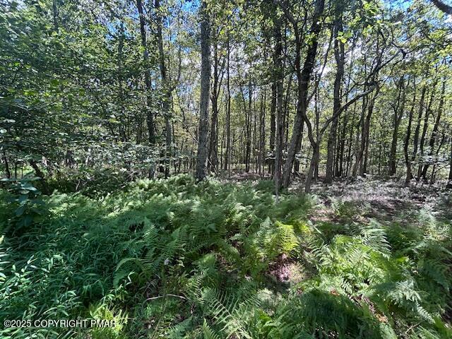 Lot 20ALAS Piney Woods Drive