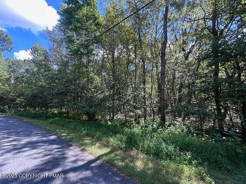 Vacant Land For Sale - LOT 20ALAS Piney Woods Drive<br/> Jim Thorpe, PA 18229