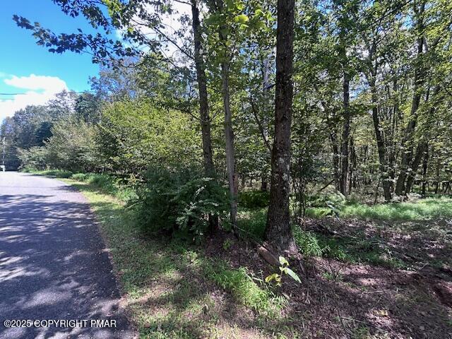 Lot 20ALAS Piney Woods Drive