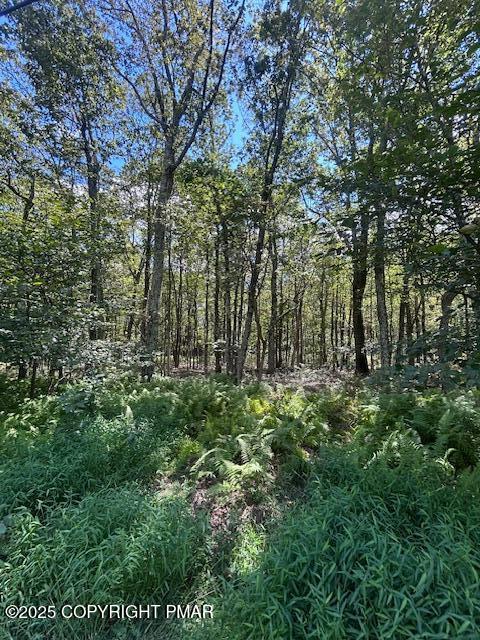 Lot 20ALAS Piney Woods Drive