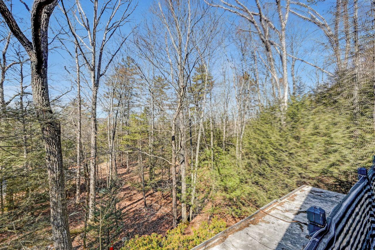 169 Sportsmen Drive, Cresco, Pennsylvania image 48